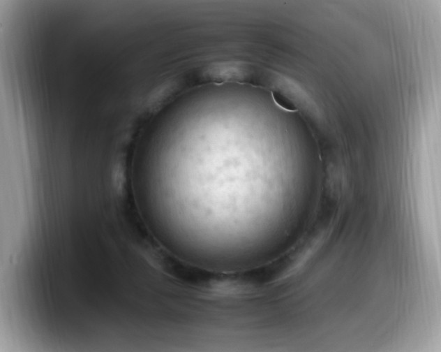 X0000099980259200805301359