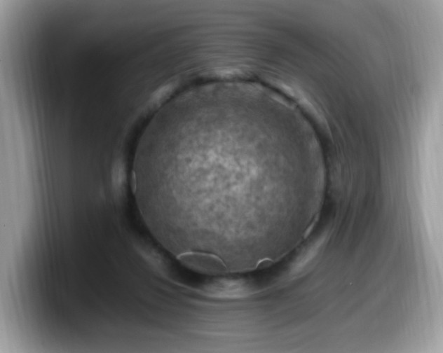 X0000099980260200805301359