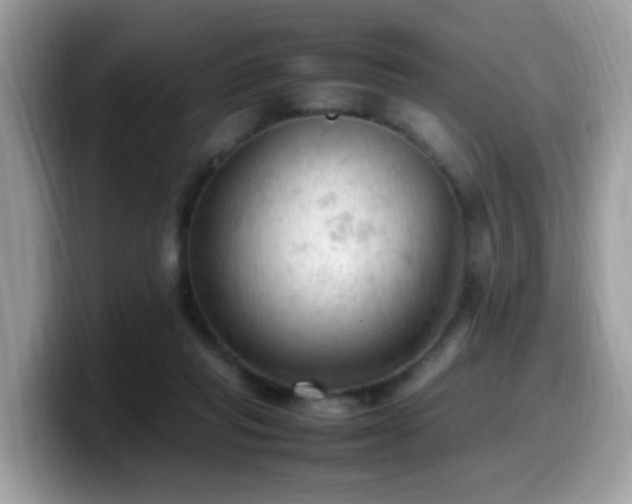 X0000099980261200805301359