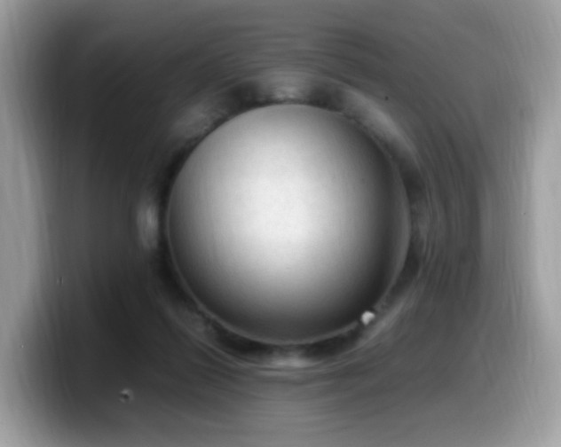 X0000099980262200805301359