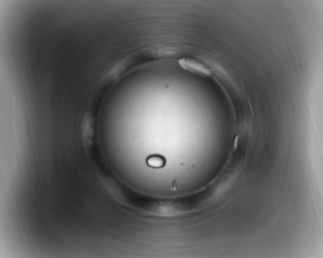 X0000099980264200805301359