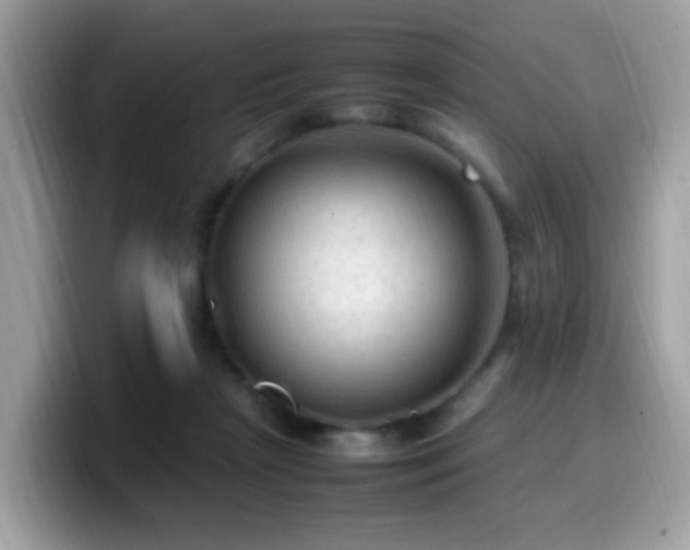 X0000099980265200805301359