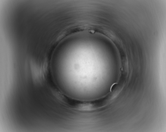 X0000099980266200805301359