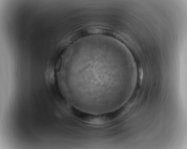 X0000099980267200805301359