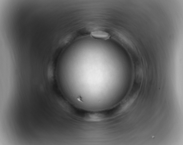 X0000099980268200805301359