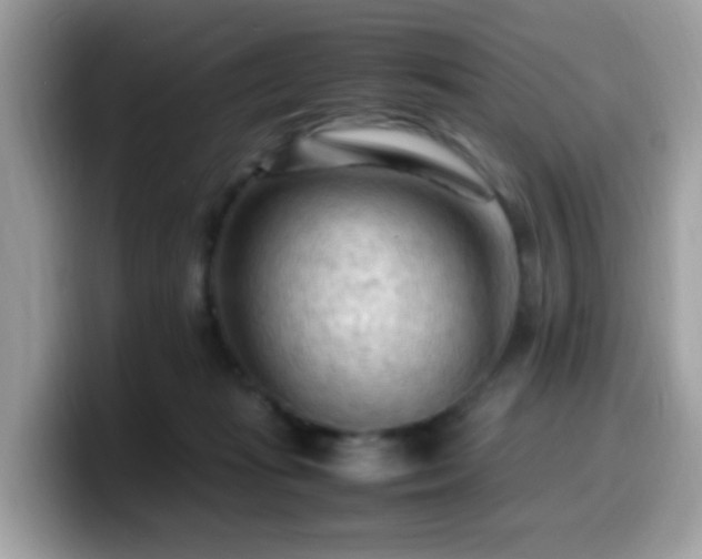 X0000099980269200805301359