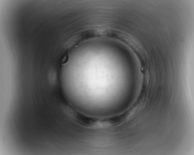 X0000099980270200805301359