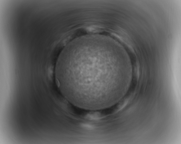 X0000099980271200805301359