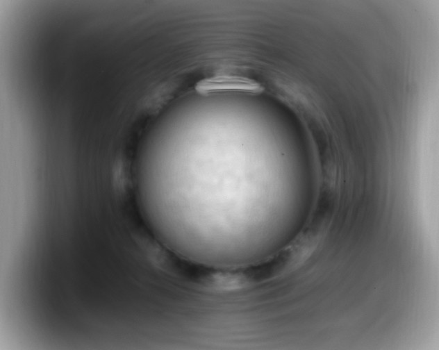 X0000099980272200805301359