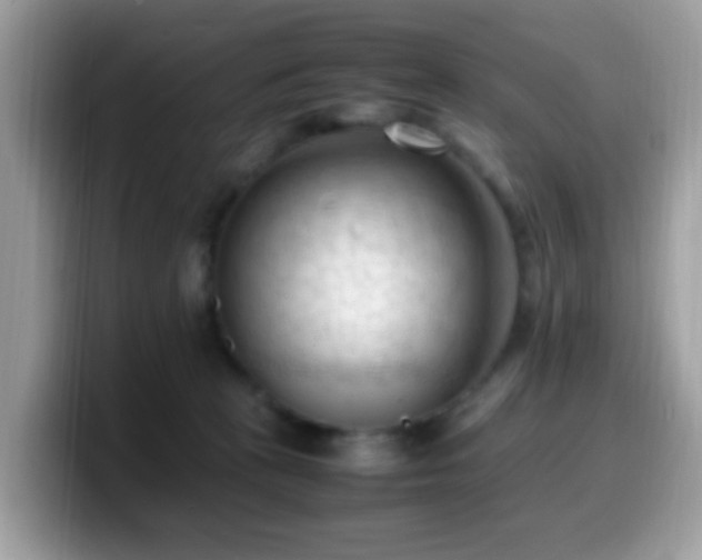 X0000099980273200805301359