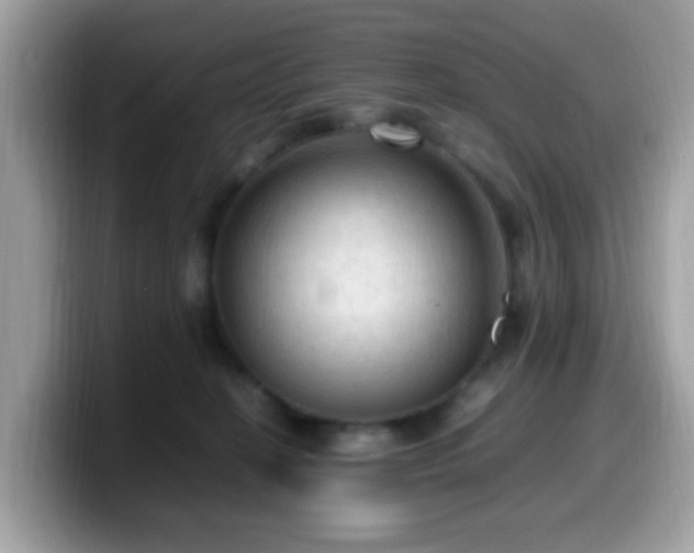 X0000099980274200805301359