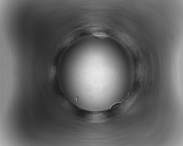 X0000099980278200805301359