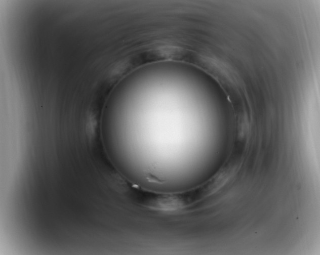 X0000099980279200805301359