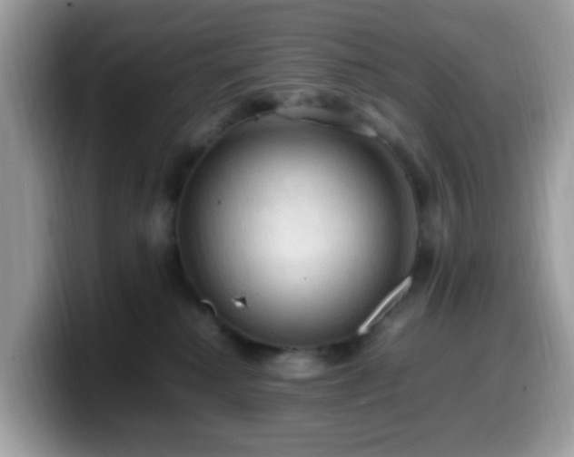 X0000099980280200805301359