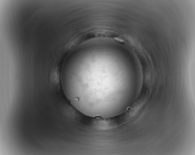 X0000099980282200805301359