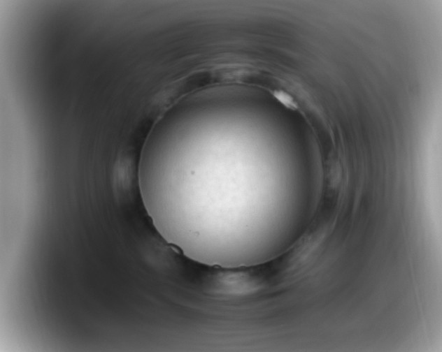 X0000099980283200805301359