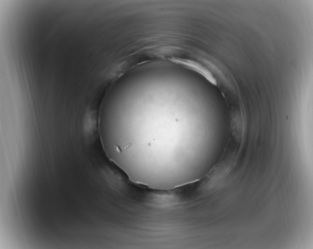 X0000099980284200805301359