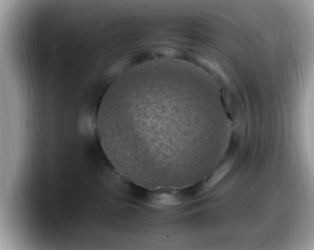 X0000099980285200805301359