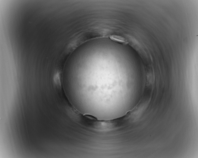 X0000099980286200805301359