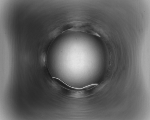 X0000099980288200805301359