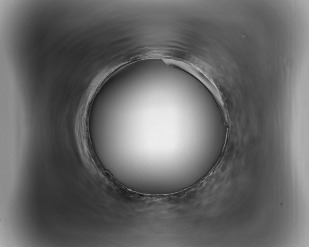 X0000099980289200805301359