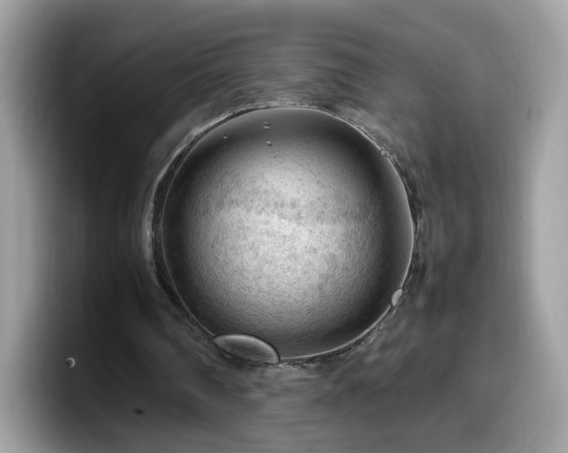 X0000099980290200805301359