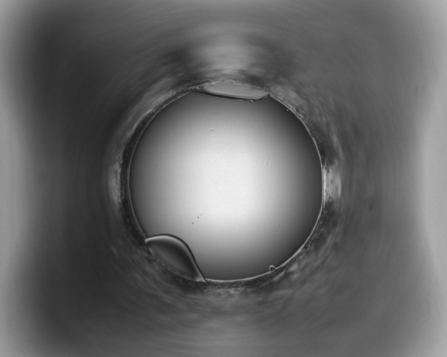 X0000099980291200805301359