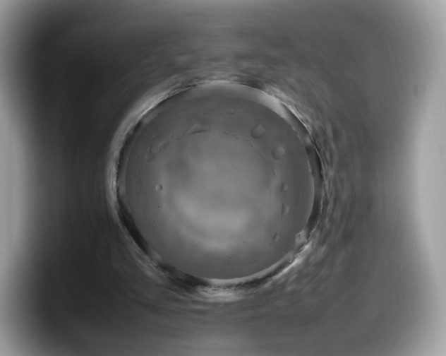 X0000099980293200805301359