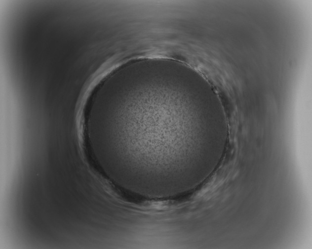 X0000099980295200805301359