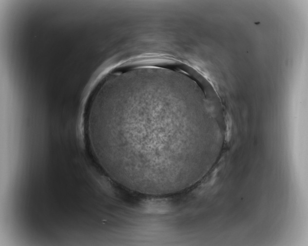 X0000099980296200805301359