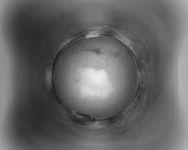 X0000099980297200805301359