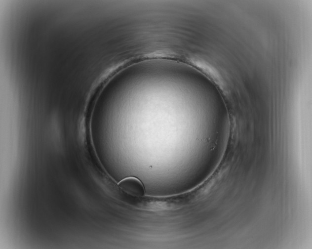 X0000099980298200805301359