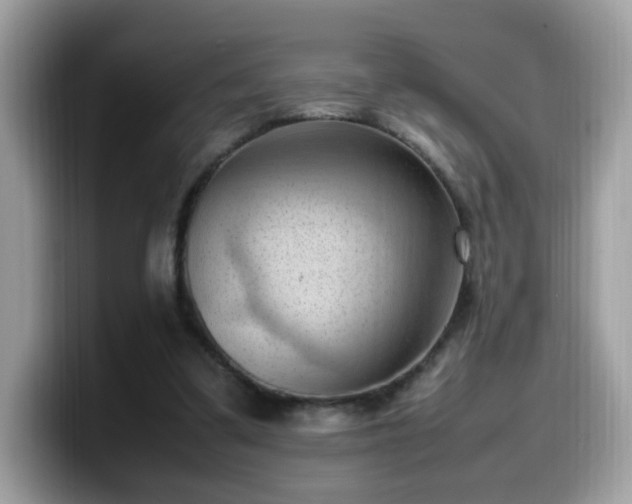 X0000099980299200805301359