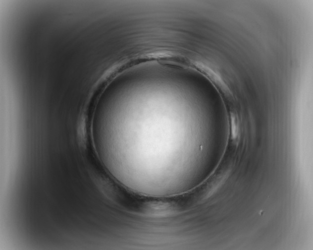 X0000099980300200805301359