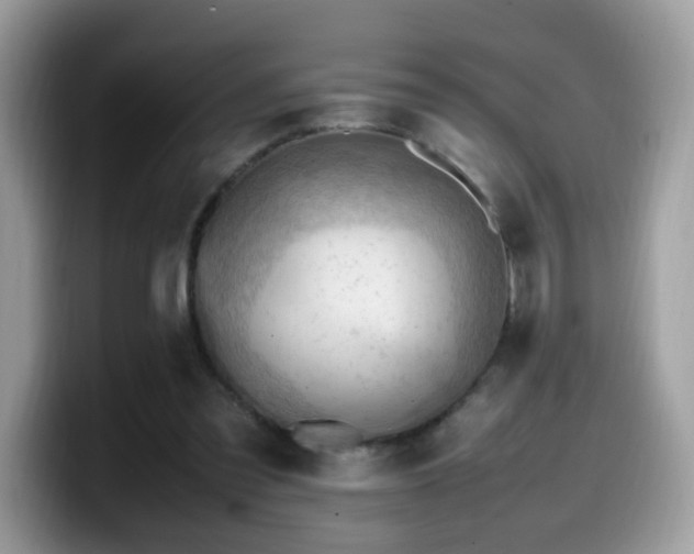 X0000099980301200805301359