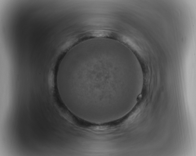 X0000099980303200805301359