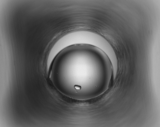 X0000099980304200805301359