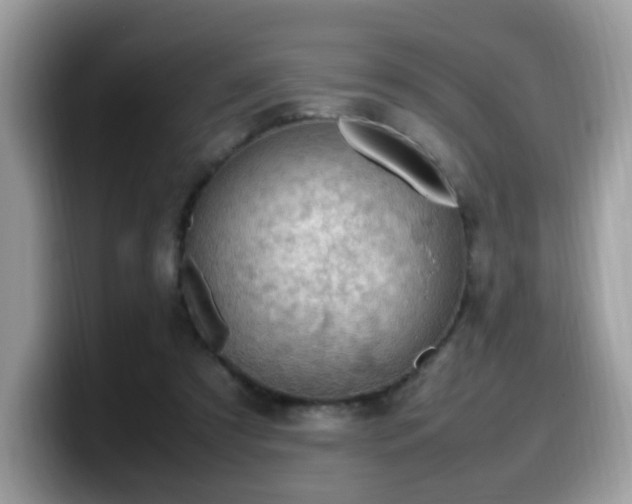 X0000099980305200805301359