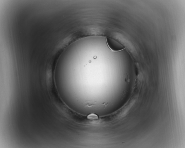 X0000099980306200805301359