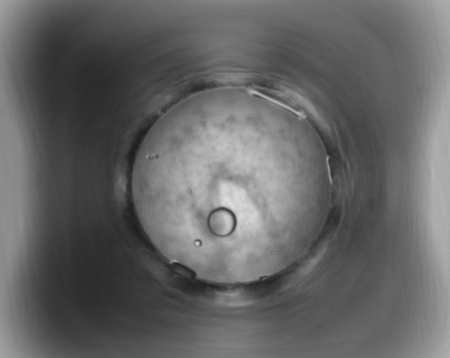 X0000099980309200805301358