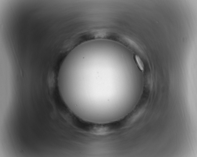 X0000099980311200805301358