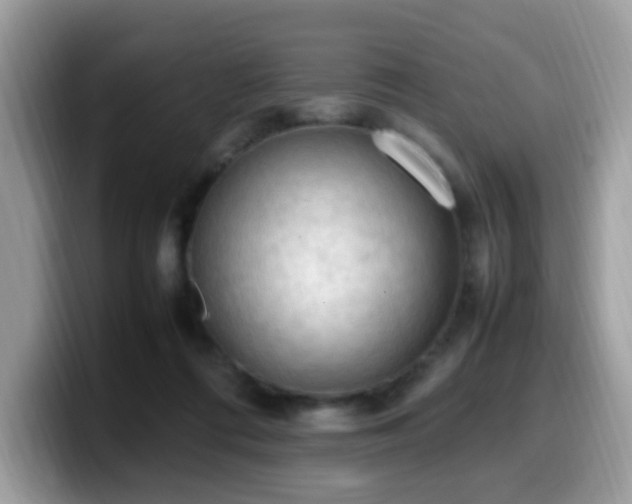 X0000099980312200805301358