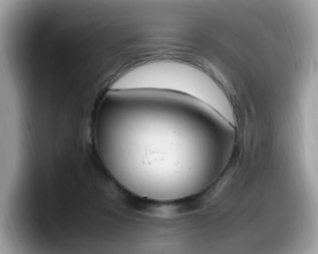 X0000099980313200805301358