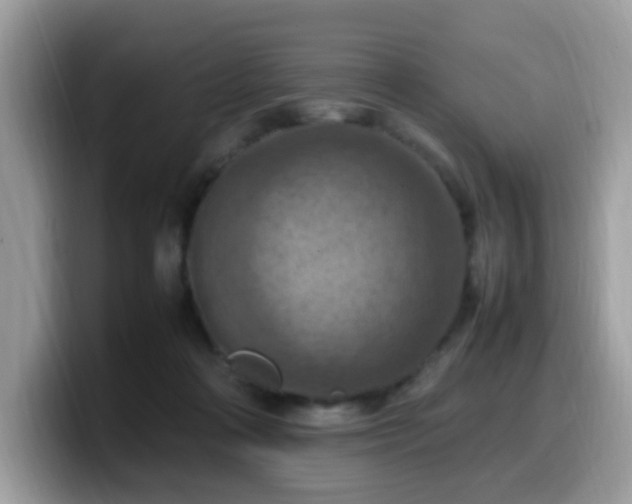 X0000099980314200805301358