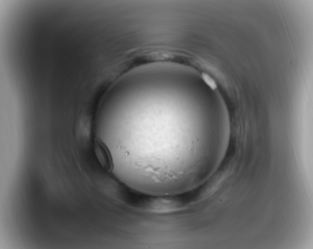 X0000099980315200805301358