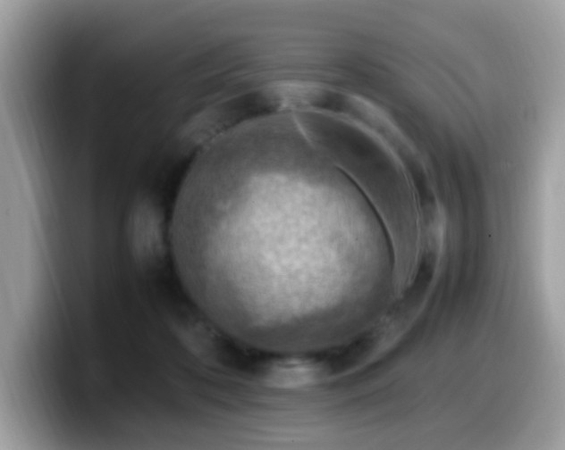 X0000099980316200805301358