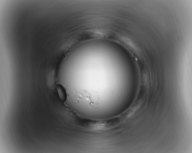 X0000099980318200805301358