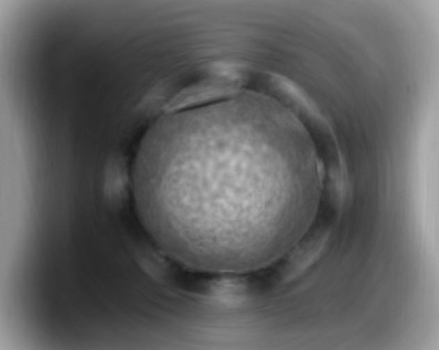 X0000099980320200805301358