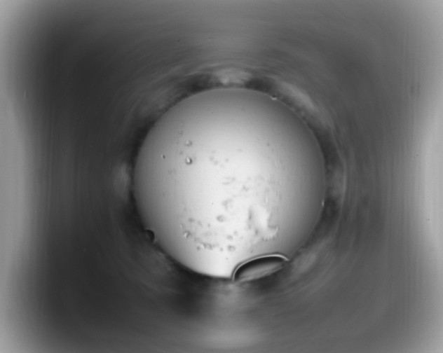 X0000099980321200805301358