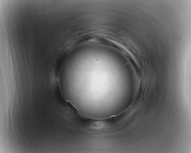 X0000099980324200805301358